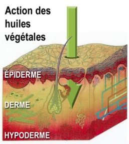 huiles-vegetales