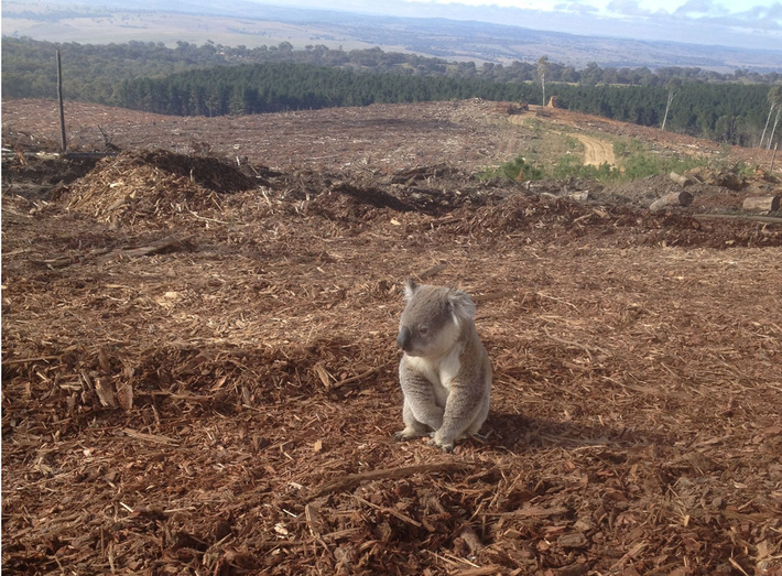 OleN0xHHHw0Ew8-YwKtMlkaYLC8@710x523