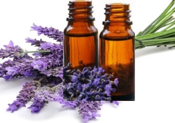 lavande-utilisation -huile essentielle- de- lavande,-huile essentielle- de- lavande utilisation-huile essentielle-lavande- fine utilisation