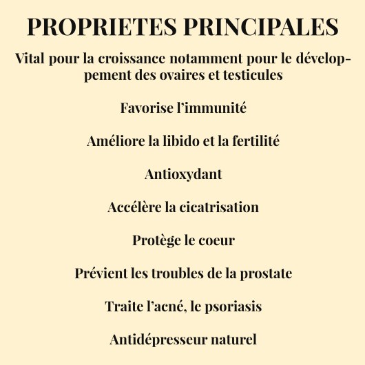 zinc propriétés